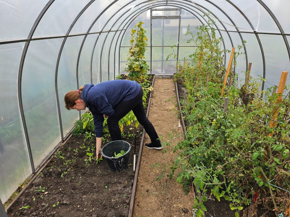 ����� � �������: ������� ���� ��� ��������� ������ � ��������� ������