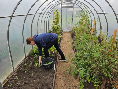 ����� � �������: ������� ���� ��� ��������� ������ � ��������� ������