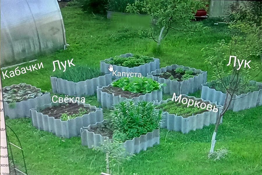 ��� ������� ����� ������: ��� ����������� �������