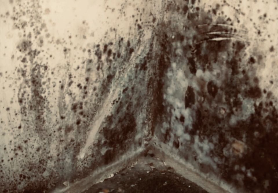 ��� ���������� � �������� � ����: ������� ������� � ������