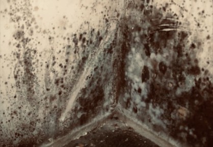 ��� ���������� � �������� � ����: ������� ������� � ������