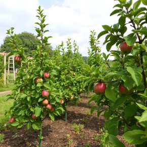 ��������� ������ ��� ������ ����: ��� ��������� �� ����� ��������������� �������