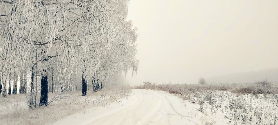 ������� ������ �� ������� �� ���������� ���������� ����