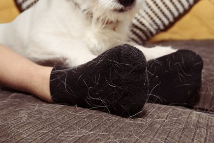 ������ �������� �������� ������ �� ��������: ����������� ������ �������