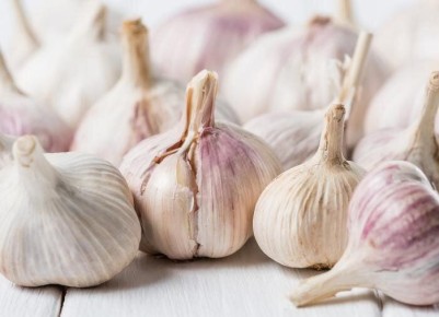 Как правильно хранить чеснок: советы для ароматного урожая