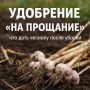 Как восстановить почву после чеснока: секреты успешного ухода
