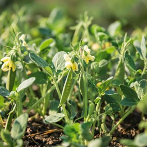 �����: �� ����� �� �������� ������ � ������� ��������� �����������