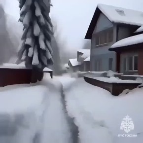 ��������: ��������������� ����������������� �������