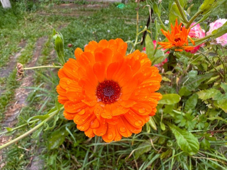 ���������: ������� ������, ������� ���������� ��� ���