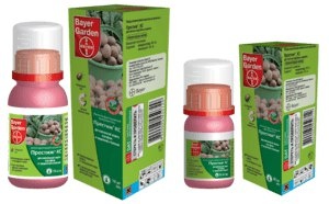 Эффективная защита картофеля: препарат «Престиж» против колорадского жука