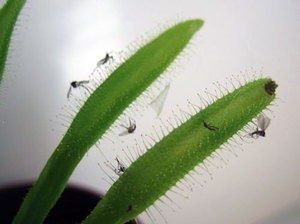 ��� ���������� �� ����� � ��������� �������: ����������� ������ � ���� ����������������