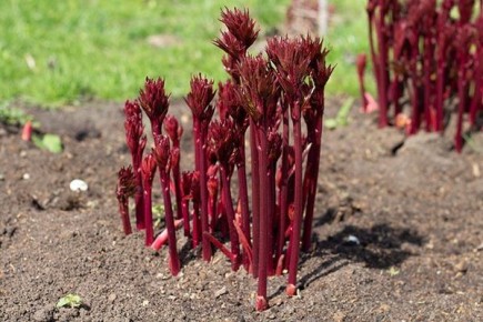 ���������� ������� ������: �����, ����, �����