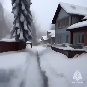 ��������: ��������������� ����������������� �������