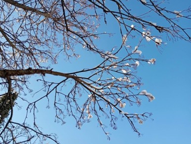 Прогноз погоды на среду от синоптиков Рязанского ЦГМС