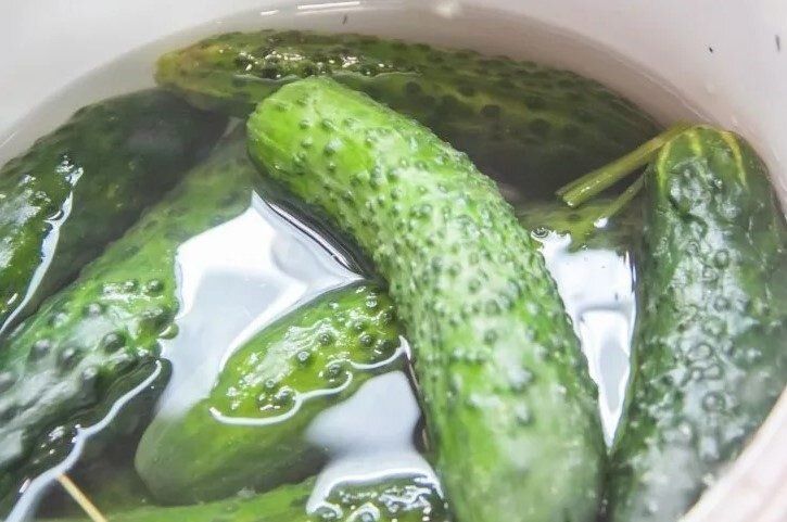 ������� ������� ������: ������� ������ ��������������