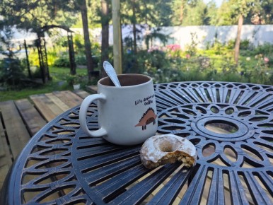 Секреты успешного дачного сезона: что ждет садоводов в этом году?