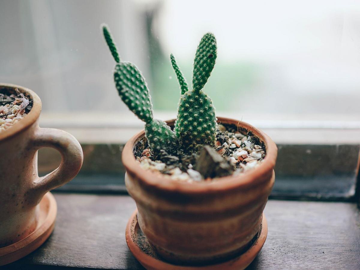 Почему хлопок может отнять удачу у вашего дома