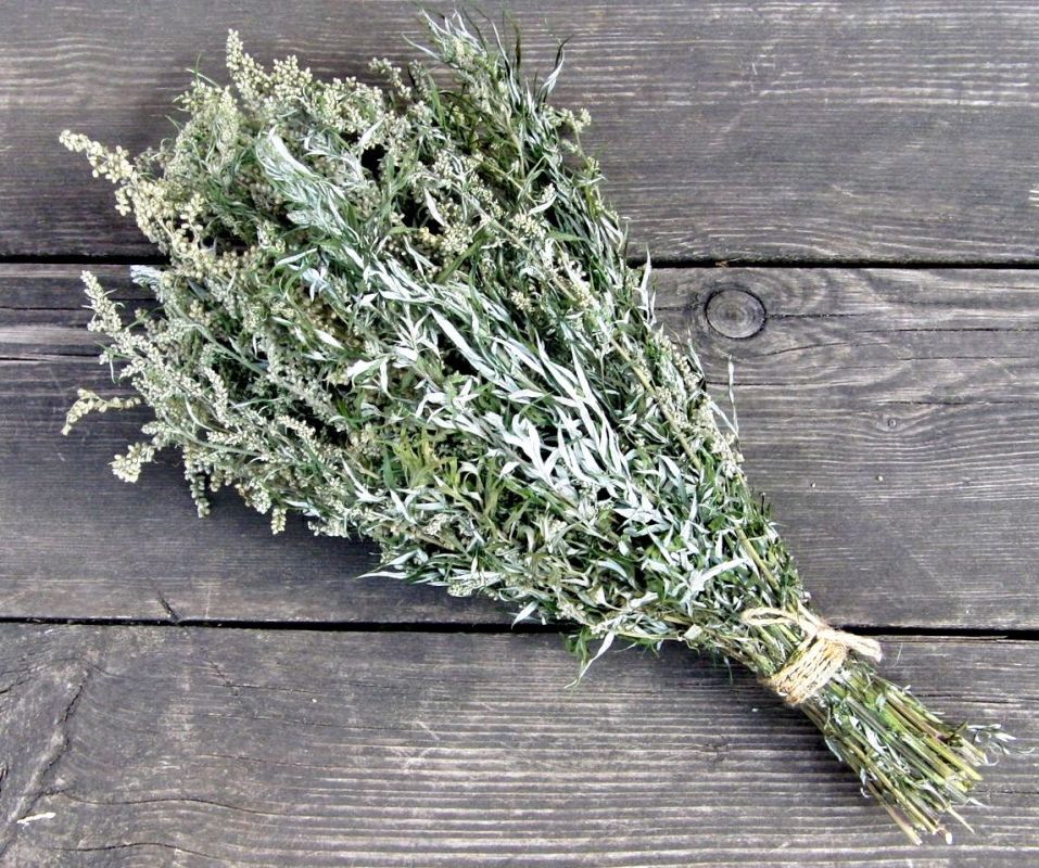 ����������� ��������: ��� ������ ���������� ���� ������� ��� ���������