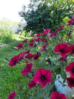 ����������� ������ �������������: ��� ������� ����� ��� ������ ����?