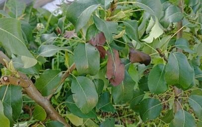 ������ ������ ����� ������� � ��� � ���� ����������