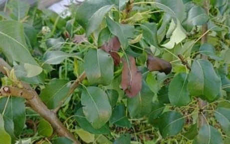 ������ ������ ����� ������� � ��� � ���� ����������