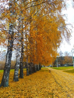 Очарование осени: как деревенская природа вдохновляет