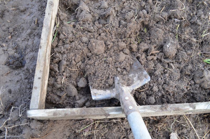 ���-����� ��� ����: ������� �������� �������