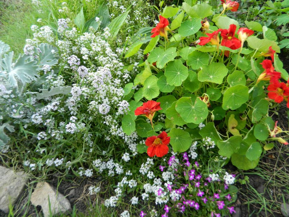 ������� ������ ���������: ��� ����� � ��� ��������� �� ����������