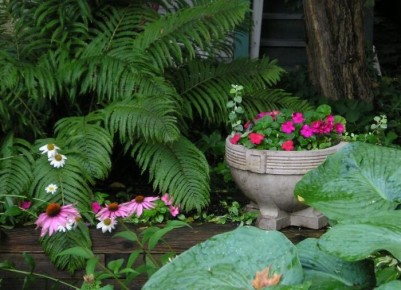 ��� �������� ���������� ������ �� ��������