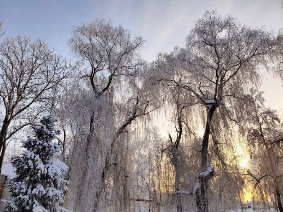 ������� ������ �� ������� �� ���������� ���������� ����