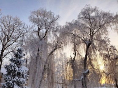 ������� ������ �� ������� �� ���������� ���������� ����