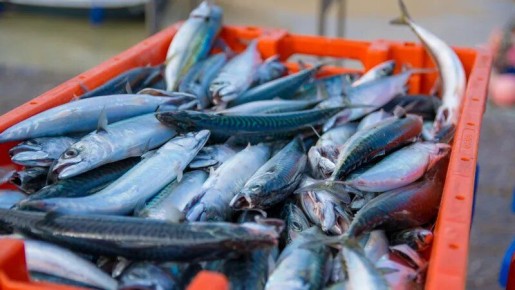 ��������� ��������� ����� ������� �� ������������� ����������� ������ ��������