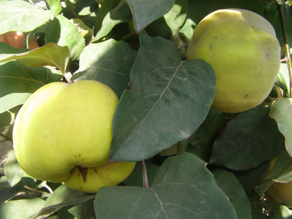 ������� �� ����: ��������� ������ ��� ������ �������