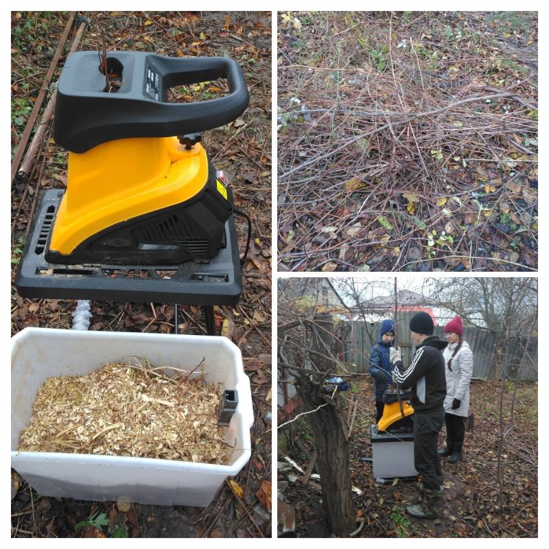 �������� ������� ��� ����: ������������, ������� ������ ������� ����