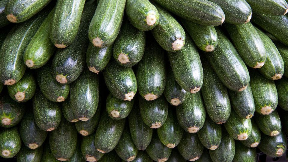 ��� ������� ��������� ���� �������� ��� ������ �����