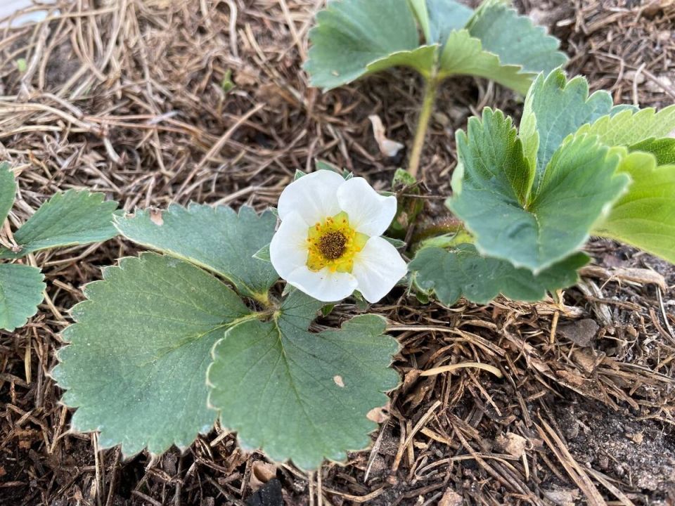 ��� ���������� �������� � ������������ � ����������� �� ��������