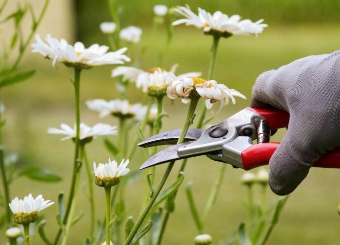 ������� �������� ������� ��������: �����, ����, �����