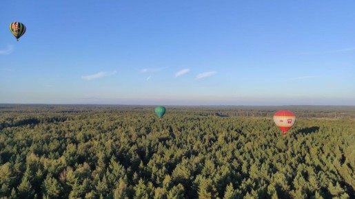 ��� �������� ������ �� ������ �� ������� � 2026 ����?