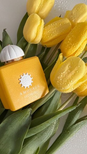 ������� �����: �� �������� ����-������� �� ���������� �����