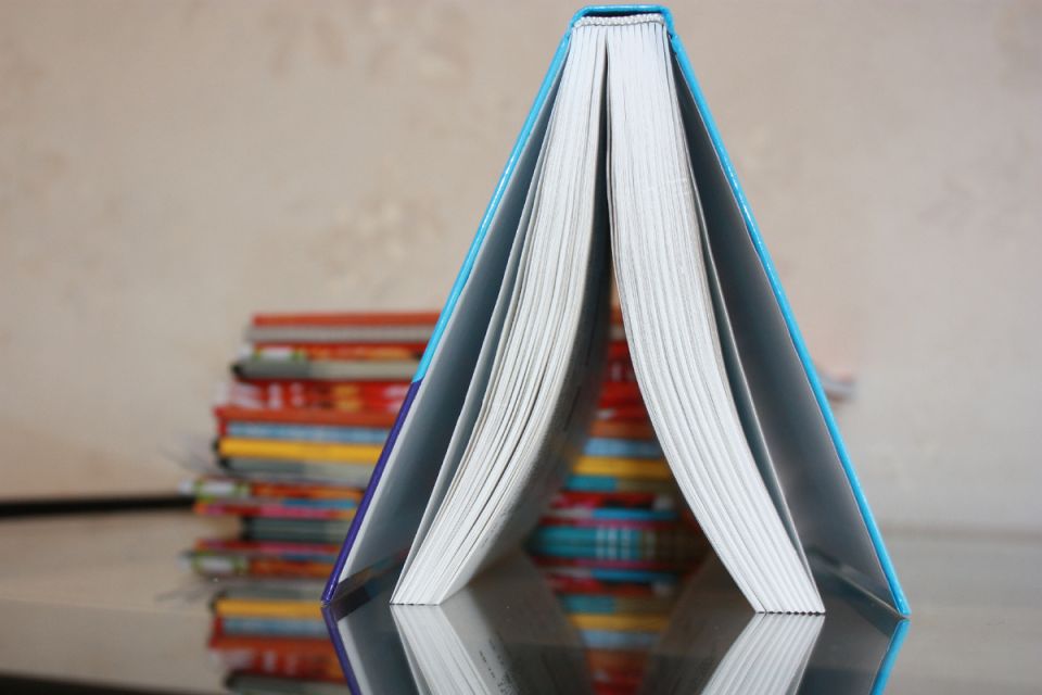 ���������� � �������� ������������ ����������� ������: ��� ���� �������� � 2026 ����