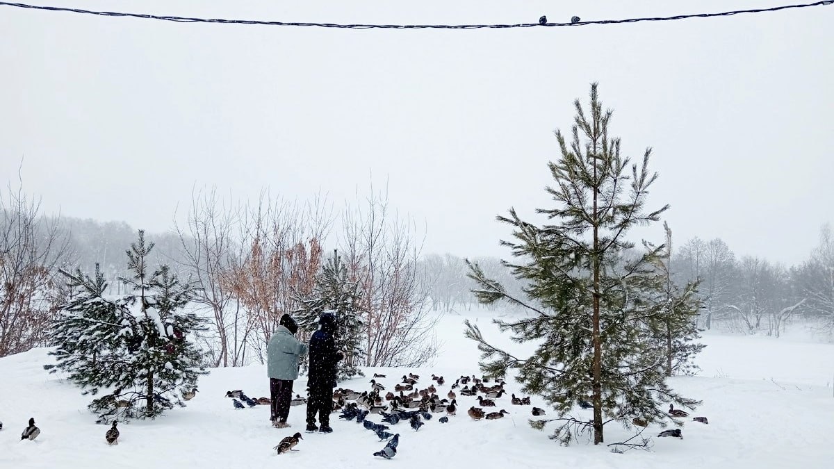 Прогноз погоды на среду от синоптиков Рязанского ЦГМС