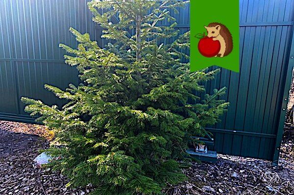 ����� ������ �������� ������� ������� ����� �����?