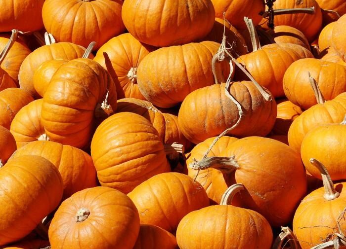 ��� ��������� ������������� ����� �����: ������ ���������