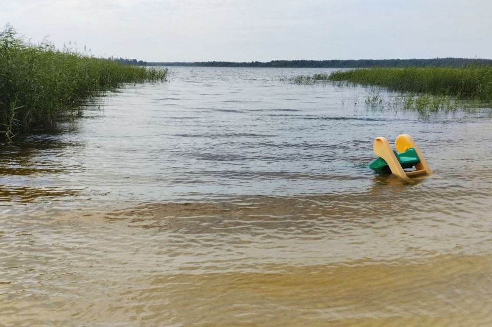 ��� ��������� ������ ������� � ���������� �������� ������ �� ����