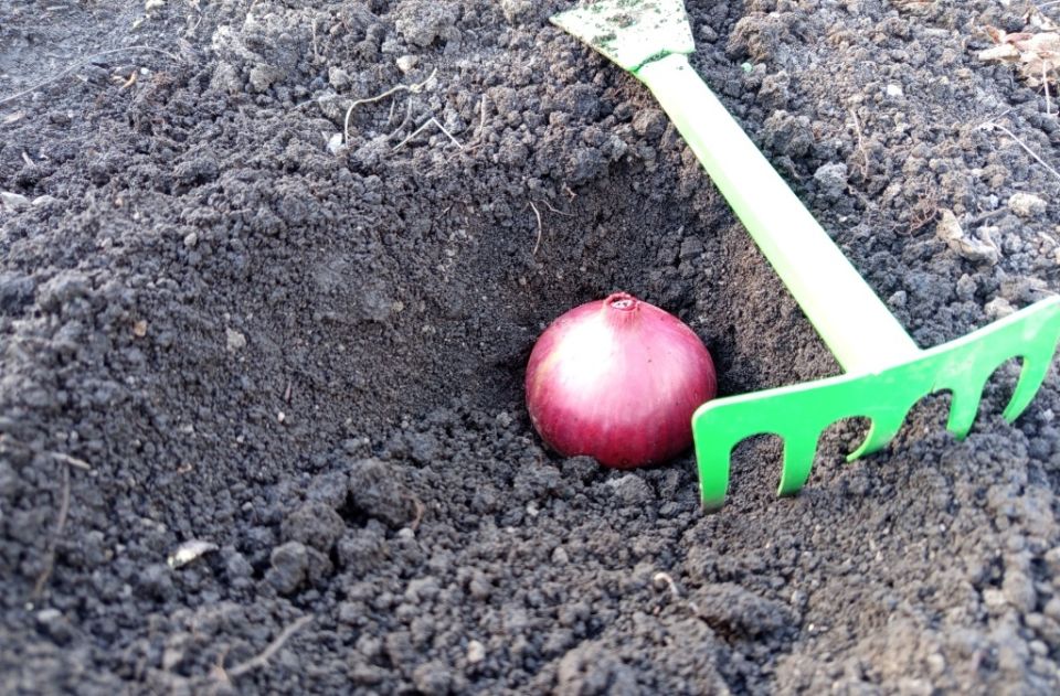 ��� ��������� �������� ��� �� �������� ��� ����