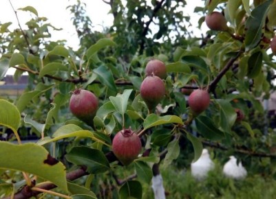 ����� � ����: ������� ������ � ����� ��� �������