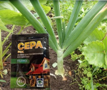 ����: ������������� ������� ��� ������ ����