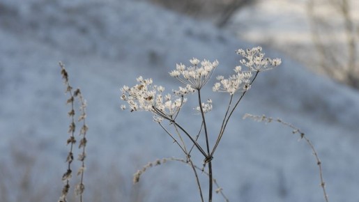 Прогноз погоды на субботу от синоптиков Рязанского ЦГМС