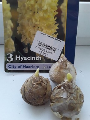 Проверка на прочность: бесплатная посылка от "Беккер" и её результаты