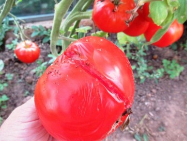 ����� ����������������� ���������: ��� �� ����� ���� ����� �����